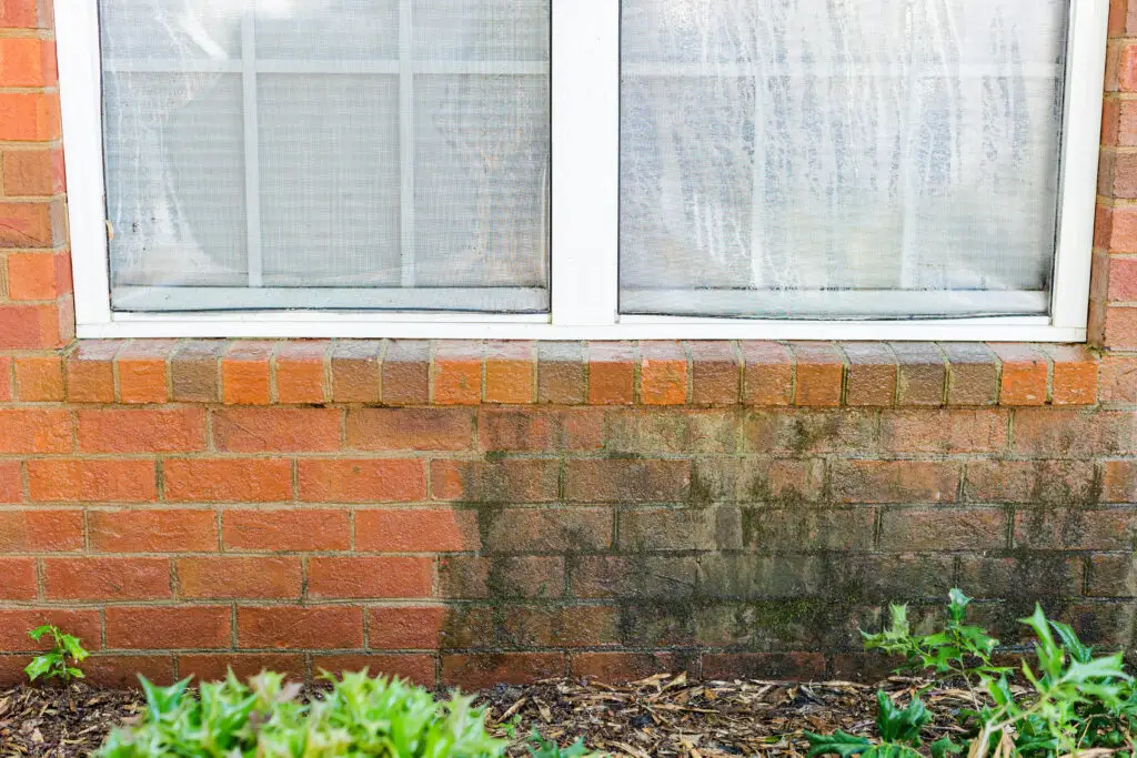 Close up of brick house with mold build up half clean have dirty to demonstrate the effectiveness of pressure washing your home.