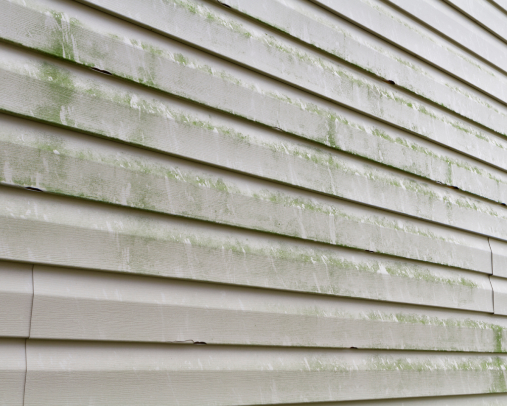 Close up shot of house with aluminum siding that has green stains all over it.