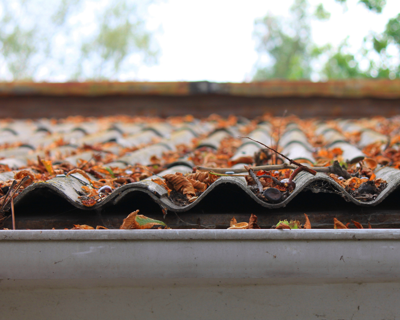 Close up shot of roof and gutters covered in wet leaves after a storm.